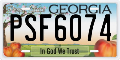 GA license plate PSF6074