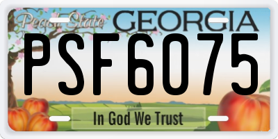GA license plate PSF6075