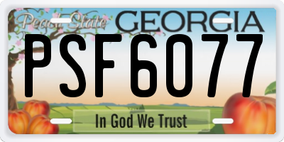 GA license plate PSF6077