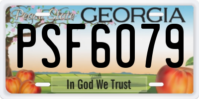 GA license plate PSF6079