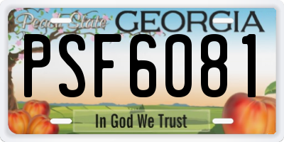 GA license plate PSF6081