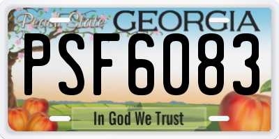 GA license plate PSF6083