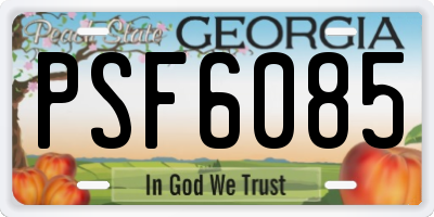 GA license plate PSF6085