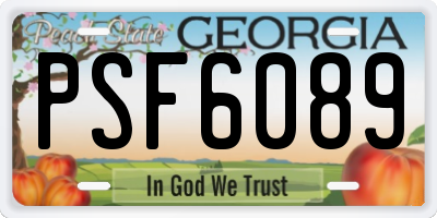 GA license plate PSF6089