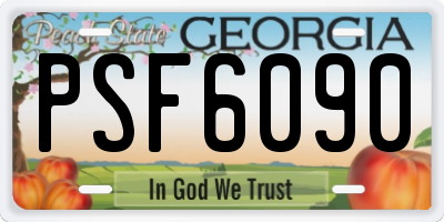 GA license plate PSF6090