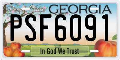 GA license plate PSF6091