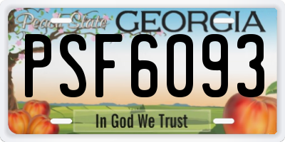 GA license plate PSF6093