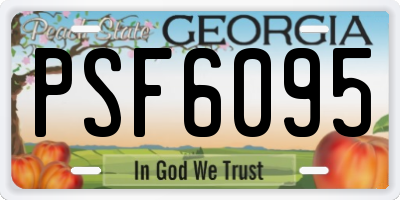 GA license plate PSF6095