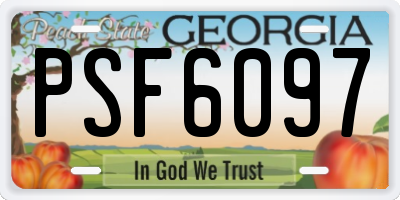 GA license plate PSF6097