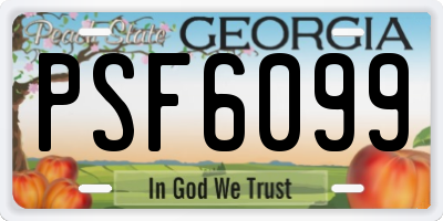 GA license plate PSF6099