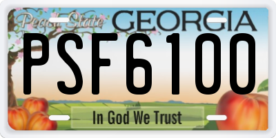 GA license plate PSF6100