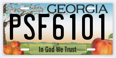 GA license plate PSF6101