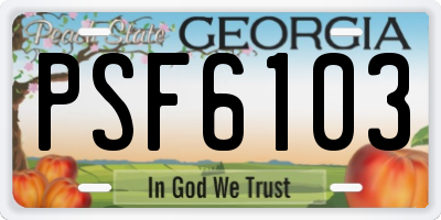 GA license plate PSF6103