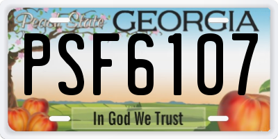 GA license plate PSF6107
