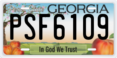 GA license plate PSF6109
