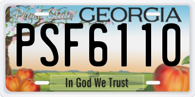GA license plate PSF6110