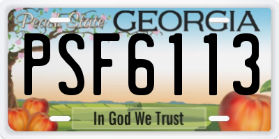 GA license plate PSF6113