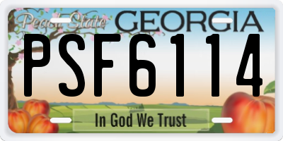 GA license plate PSF6114