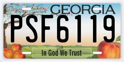 GA license plate PSF6119