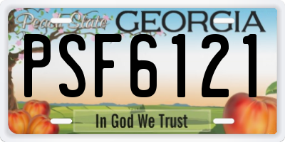 GA license plate PSF6121