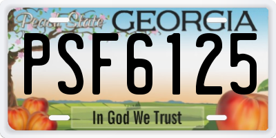 GA license plate PSF6125