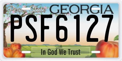 GA license plate PSF6127