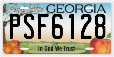 GA license plate PSF6128