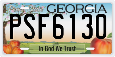 GA license plate PSF6130