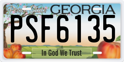GA license plate PSF6135