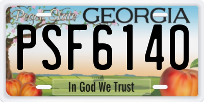 GA license plate PSF6140