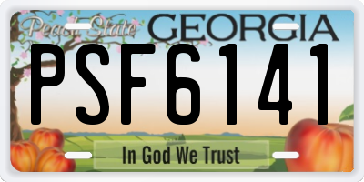 GA license plate PSF6141