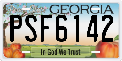 GA license plate PSF6142