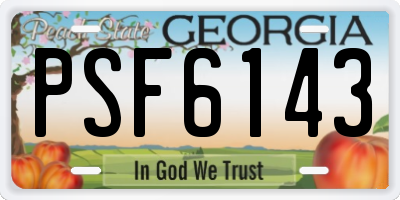 GA license plate PSF6143