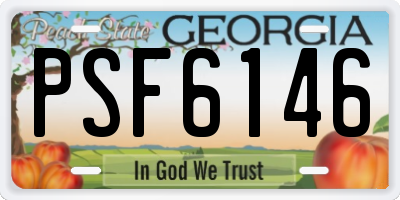 GA license plate PSF6146