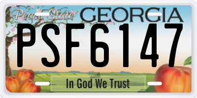 GA license plate PSF6147