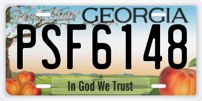 GA license plate PSF6148
