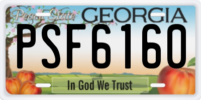 GA license plate PSF6160