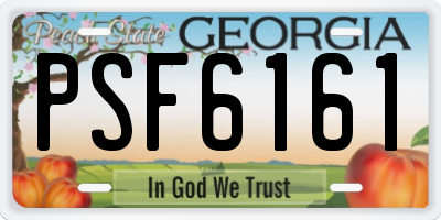 GA license plate PSF6161