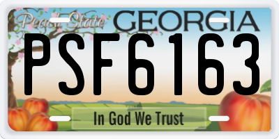 GA license plate PSF6163