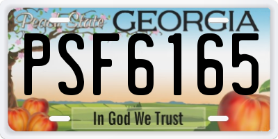 GA license plate PSF6165
