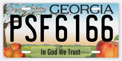 GA license plate PSF6166