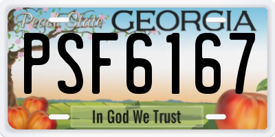 GA license plate PSF6167