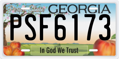 GA license plate PSF6173