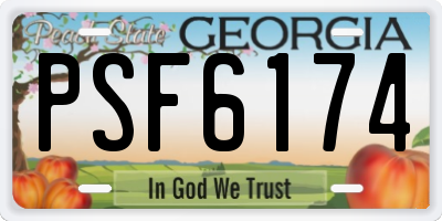 GA license plate PSF6174