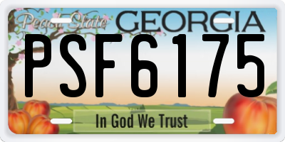 GA license plate PSF6175