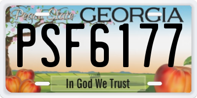 GA license plate PSF6177