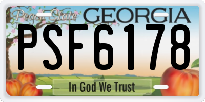 GA license plate PSF6178