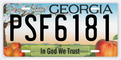 GA license plate PSF6181