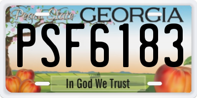 GA license plate PSF6183