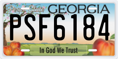GA license plate PSF6184